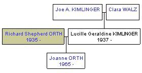 Mini tree diagram