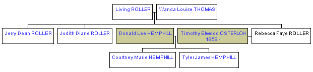 Mini tree diagram