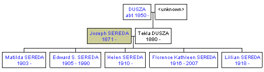 Mini tree diagram