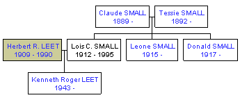 Mini tree diagram