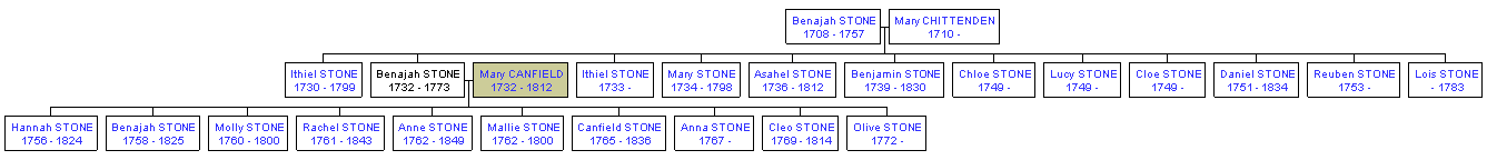 Mini tree diagram