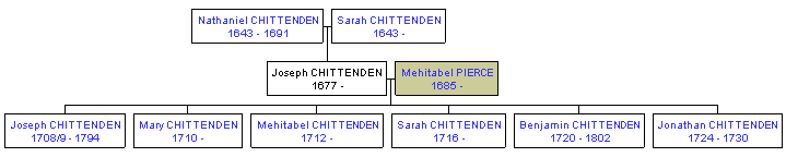 Mini tree diagram