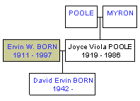 Mini tree diagram