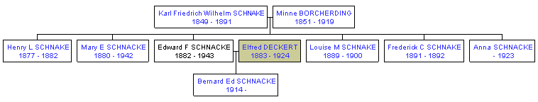 Mini tree diagram