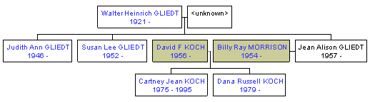 Mini tree diagram