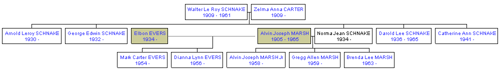 Mini tree diagram