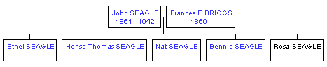 Mini tree diagram