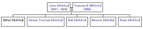 Mini tree diagram