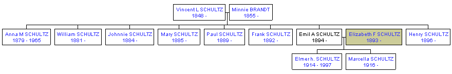 Mini tree diagram