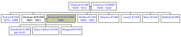 Mini tree diagram